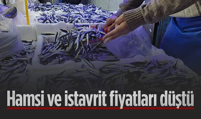 Samsun'da Hamsi ve İstavritin Fiyatı Düştü