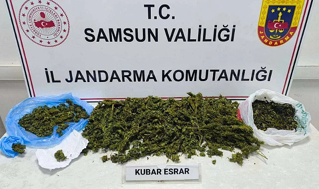 Samsun'da Jandarmadan Uyuşturucu Operasyonu: 1 Gözaltı