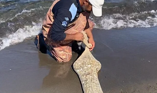 Samsun’da Kaçak Avcılığa Operasyon: 1 Ton Kum Midyesi Ele Geçirildi