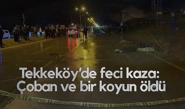 Samsun’da Otomobil Çarpan Çoban Hayatını Kaybetti