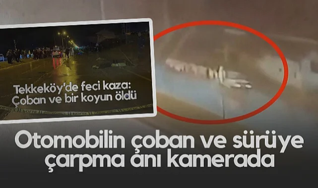 Samsun'da Otomobilin Çobana ve Sürüye Çarpma Anı Kameraya Yansıdı