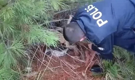 Samsun’da Polis Kaçak Avcılık Tuzağını Ortaya Çıkardı