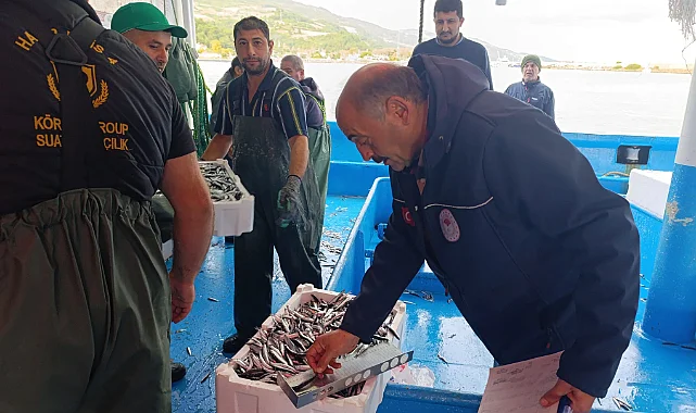 Samsun Hamsi Avcılığı Kotası: 2 Haftada 174 Ton Hamsiye Nakil Onayı Verildi