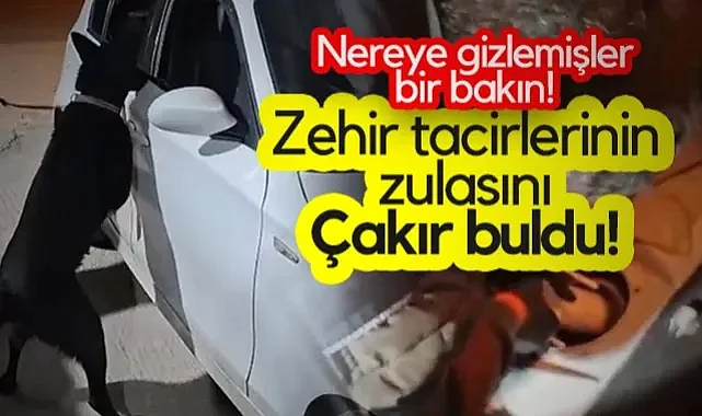 Zehir Tacirlerinin Zulasını Narkotik Köpeği Çakır Buldu! Nereye Gizlemişler Bir Bakın!