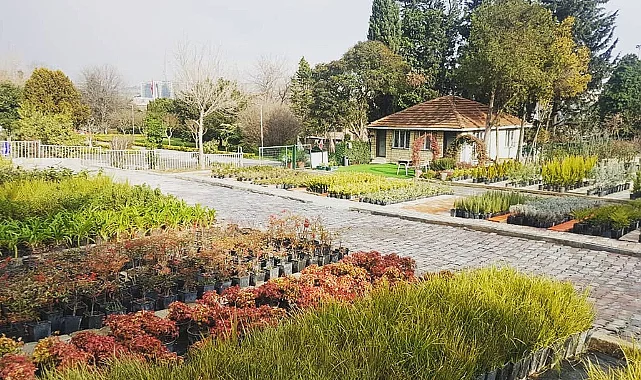 Satış Reyonu Yaptırılacaktır