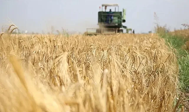 TÜİK Açıkladı: Ağustos’ta Tarımsal Girdi Fiyatları Yükseldi