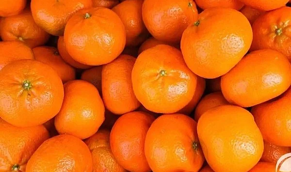 Turuncu Mandalinalara Ne Oldu? Uzmanlar Açıkladı!
