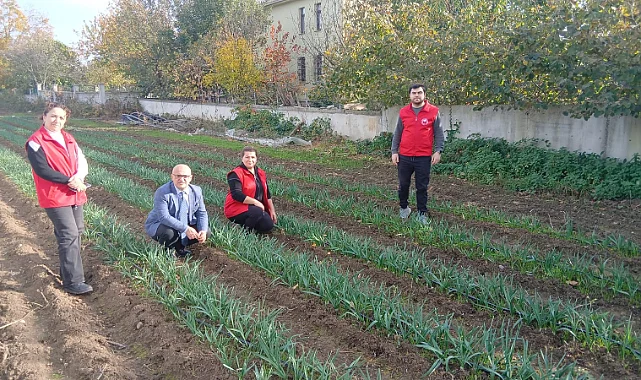 19 Mayıs'ta 25 Bin Nergis Soğanı Dağıtıldı