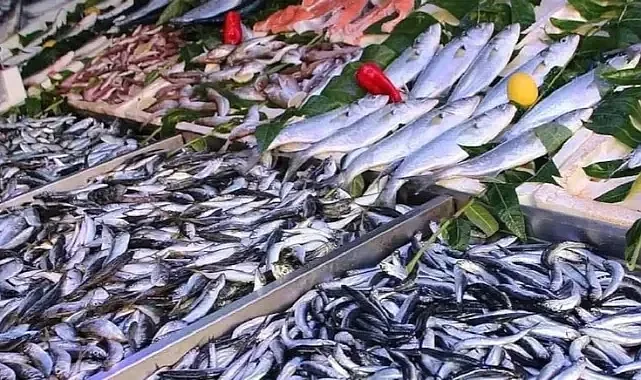 Aralık Ayının En Sağlıklı Balığı Açıklandı