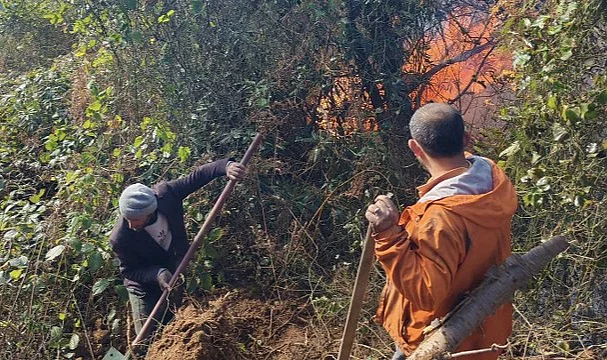 Artvin Hopa’da Örtü Yangını Ormana Yayıldı