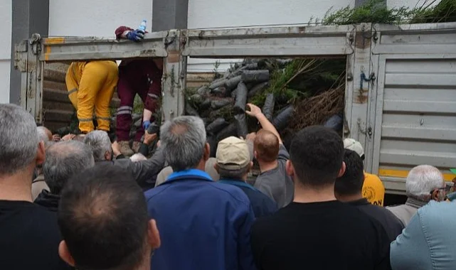 Bafra’da Milli Ağaçlandırma Günü Coşkusu: 3 Bin Fidan Vatandaşlarla Buluştu