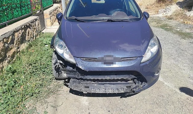 Başıboş Sokak Köpekleri Neden Otomobili Parçaladı? Divriği Belediyesi'ne 108 Bin TL'lik Tazminat Davası Açılacak mı?