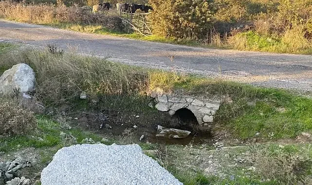 Ayvacık'ta Korkunç Olay: Boş Arazide Bebek Cesedi Bulundu