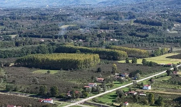 Çarşamba Ovası Tehlike Altında: Verimli Tarım Arazileri Ormana Dönüşüyor
