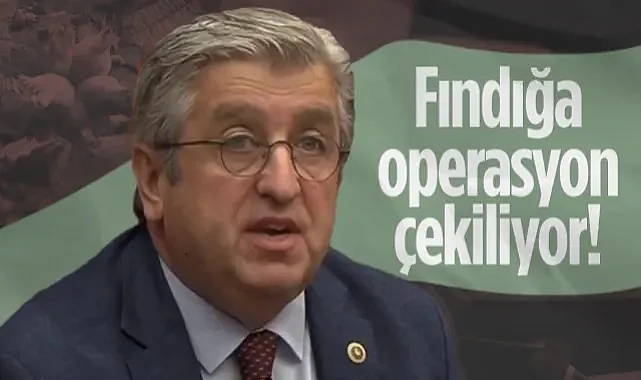 CHP'li Murat Çan'dan Uyarı: Fındığa Operasyon Çekiliyor!