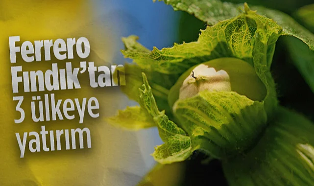 Ferrero Fındık’tan 3 Ülkeye Yatırım