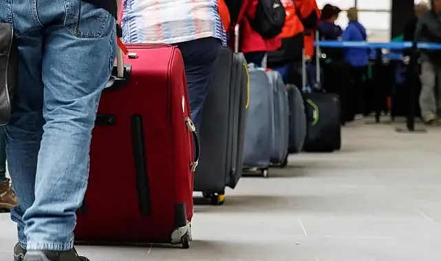 Valizden Binlerce Dolar Değerinde 200 Egzotik Hayvan Çıktı