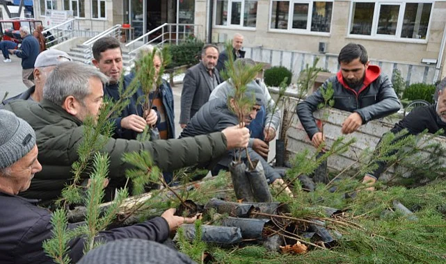Havza Belediyesi Vatandaşlara 1000 Kızılçam Fidanı Dağıttı