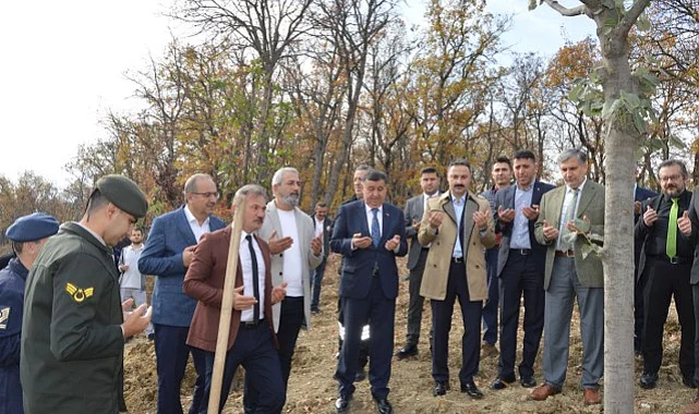 Havza'da Milli Ağaçlandırma Günü Coşkusu: 7'den 77'ye Fidanlar Toprakla Buluştu