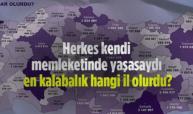 Herkes Kendi Memleketinde Yaşasaydı: En Kalabalık Olacak İlk 10 İl Hangisi?