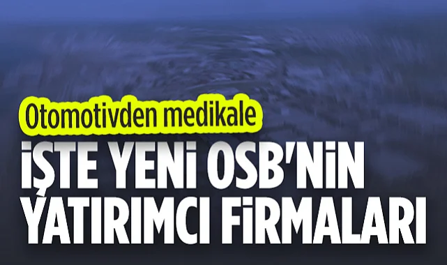 İşte Samsun Yeni OSB'nin Yatırımcı Firmaları