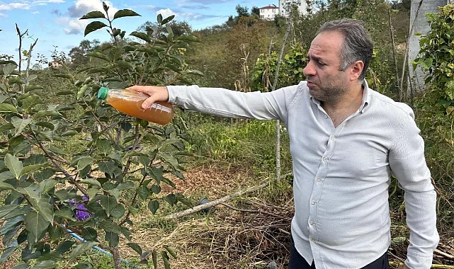 Kahverengi Kokarcaya Doğal Çözüm Buldu! İşte O Formül...