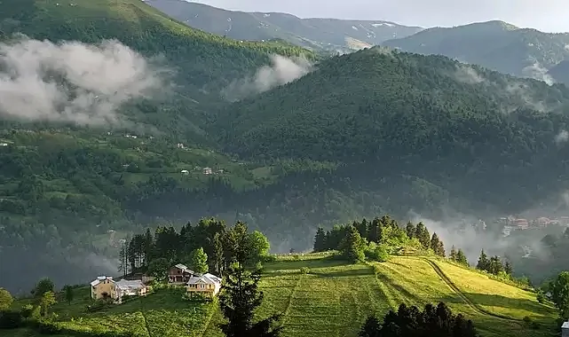 Karadeniz'de Görüldü! Heyecanlandıran Keşif