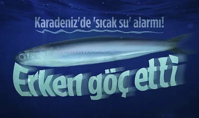 Karadeniz'de Sıcak Su Alarmı: Hamsi Erken Göç Etti