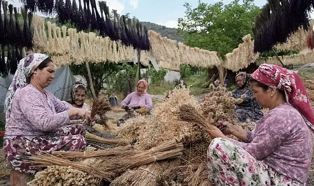 Köyden Şehire Göç Bitecek: Aile İşletmelerine Yeni Destekler Geliyor