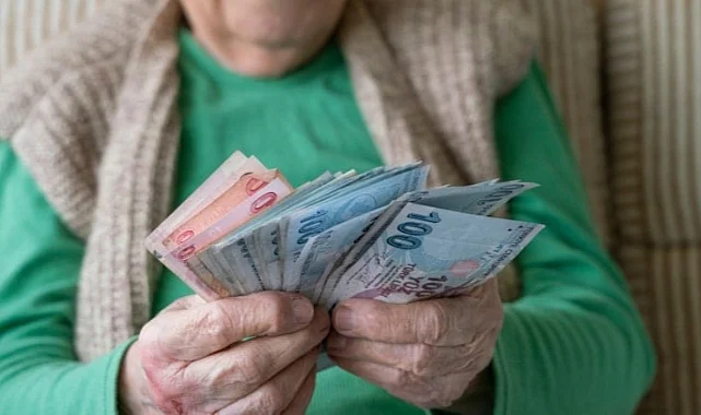 OECD Raporu: Emekliye Çifte Maaş Uyarısı ve Teşvik Önerisi