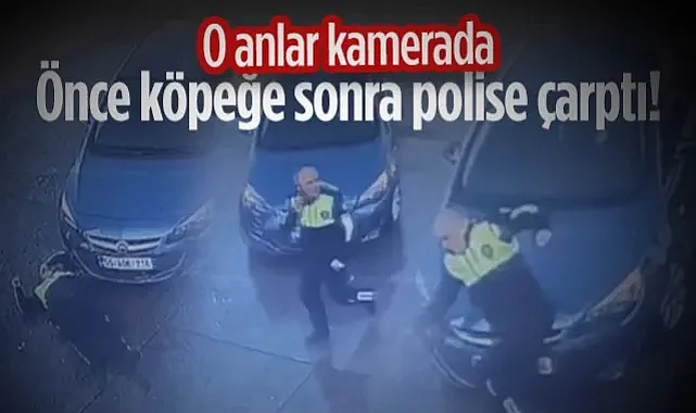 Önce Köpeğe, Sonra Polise Çarptı! Çarşamba'da Dikkatsiz Sürücü Kamerada
