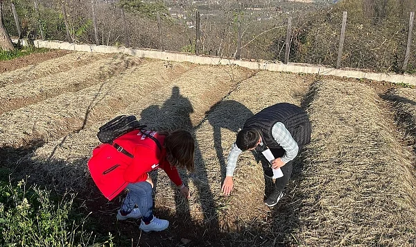 Salıpazarı’nda Salep Üretim Alanları Denetlendi