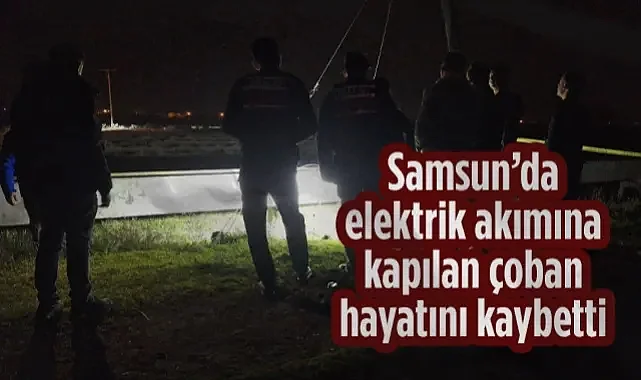Samsun'da Elektrik Akımına Kapılan Çoban Hayatını Kaybetti