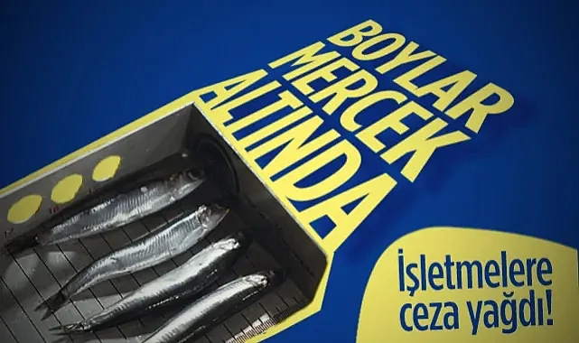 Samsun'da Balık Boyu Denetimlerinde Rekor Ceza