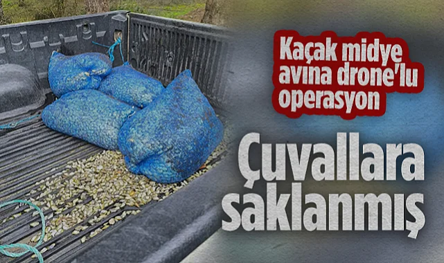 Samsun'da Kaçak Midye Avına Drone'lu Operasyon: Çuvallara Saklanmış