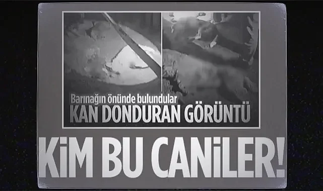 Samsun'da Kan Donduran Vahşet! Kim Bu Caniler!