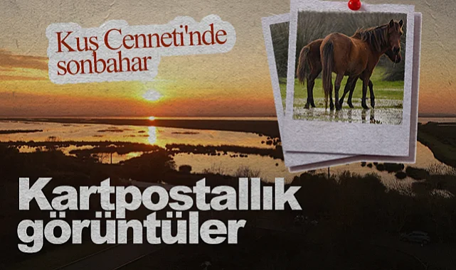 Samsun Kuş Cenneti'nde Sonbahar Büyüsü