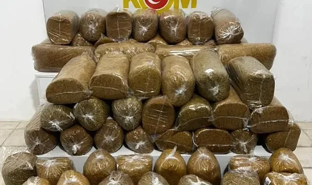 Samsun'da Minibüste 290 KG Kaçak Tütün Ele Geçirildi