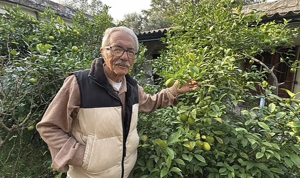 Samsun'da Üreticiden Örnek Başarı Hikayesi: Arazisinde 54 Farklı Organik Meyve Yetiştiriyor