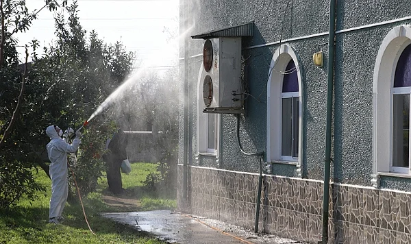 Samsun Terme'de Kahverengi Kokarca Alarmı: 850 Hane ve 623 Ahır İlaçlandı