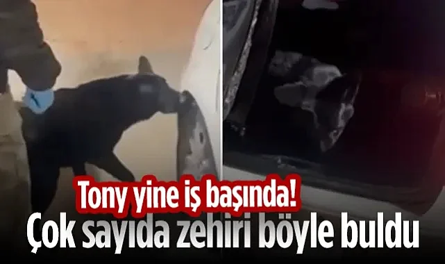 Tony Yine İş Başında! Çok Sayıda Uyuşturucuyu Böyle Buldu...