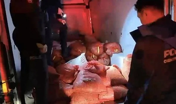 Samsun'da Yasa Dışı Avlanmış 2,6 Ton Kaçak Midye Ele Geçirildi