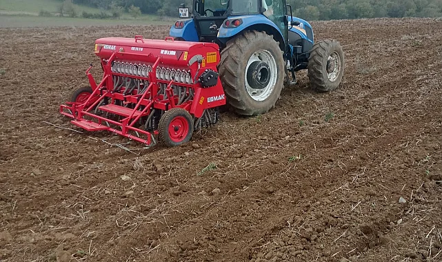 Yerli Çeşit Altın Dane Buğdayı 19 Mayıs'ta Toprakla Buluştu