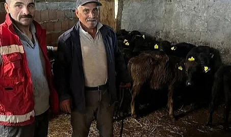 19 Mayıs'ta Hayvan Sağlığı Çalışmaları Sürüyor