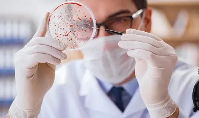 30 Yıl Sonra Veba Alarmı: Laboratuvardan mı Sızdı?