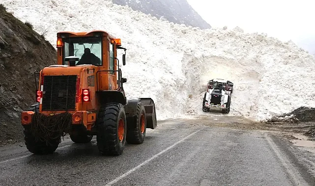 Artvin Ardanuç'ta Çığ Felaketi: 3 Çoban Aranıyor
