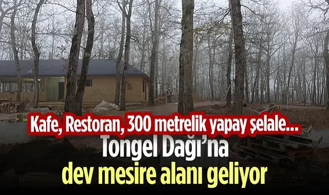 Asarcık Tongel Dağı’na Dev Mesire Alanı Geliyor! Kafe, Restoran, 300 Metrelik Yapay Şelale...