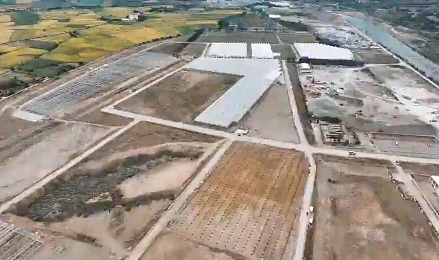 Bafra Sera OSB'de Topraksız Tarımla Üretim Artıyor