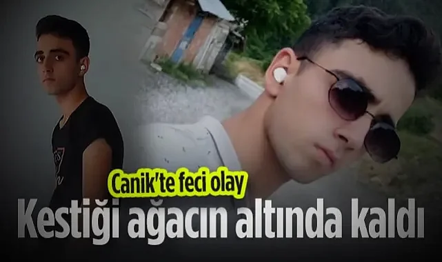Canik'te Feci Olay: 19 Yaşındaki Genç Ağacın Altında Kaldı