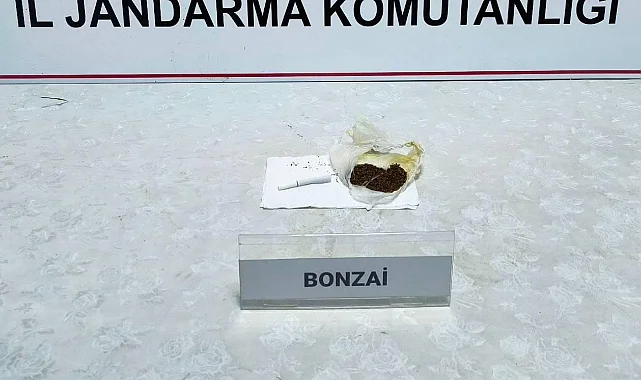 Çarşamba'da Jandarmadan Uyuşturucu Operasyonu